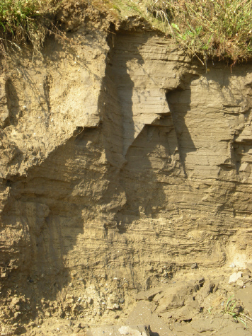  Barmston: 15 September 2011 
